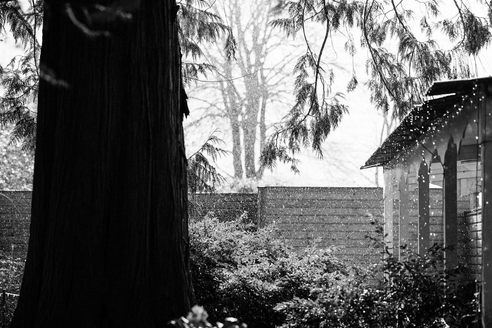 Larmertree garden wedding 28 Rain at a Larmertree Garden wedding