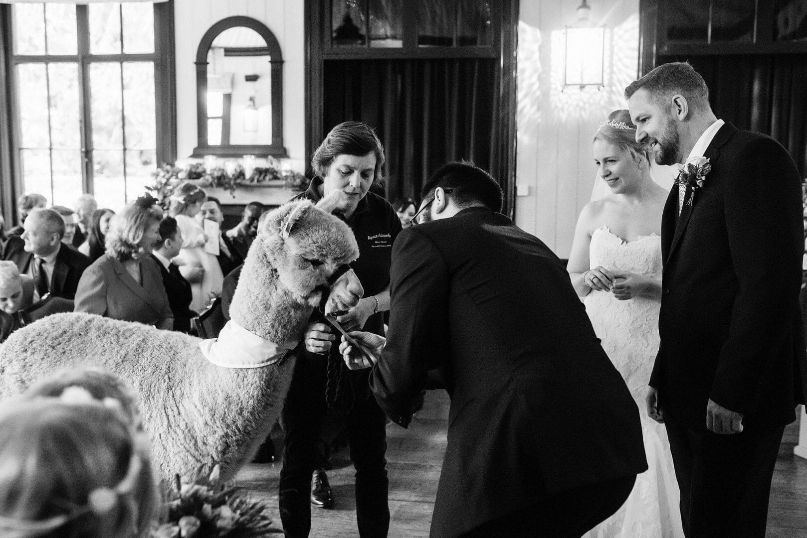 Larmertree garden wedding 46 Larmertree garden wedding