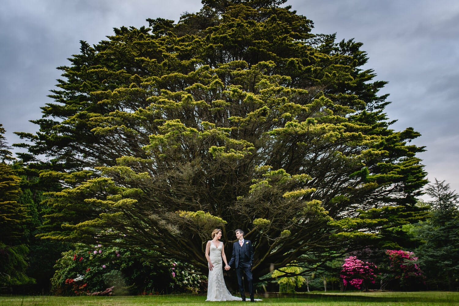 Studland Bay house Yew tree with bride and Groom