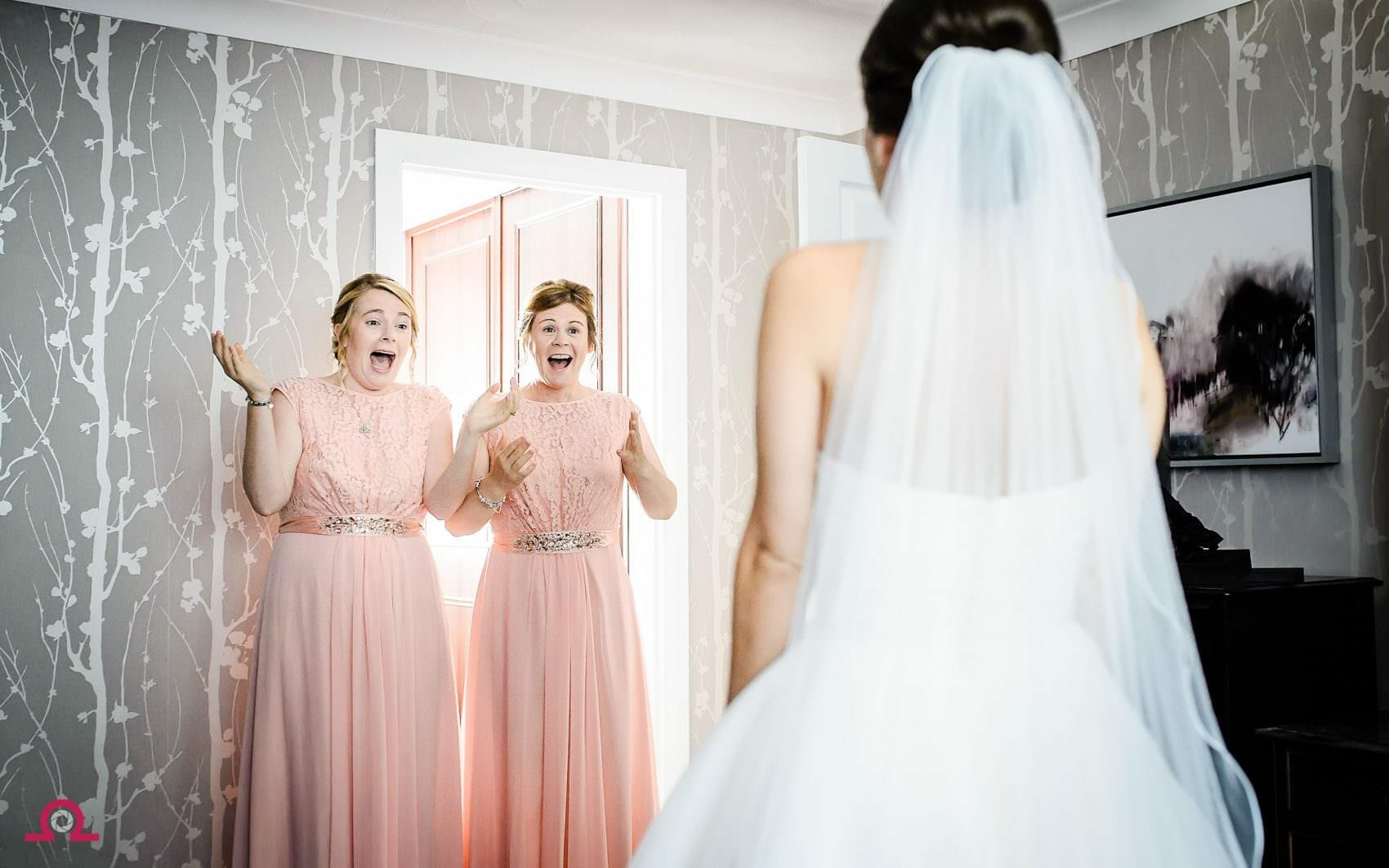 Fees and information 2 Bridesmaids-reaction-to-wedding-dress